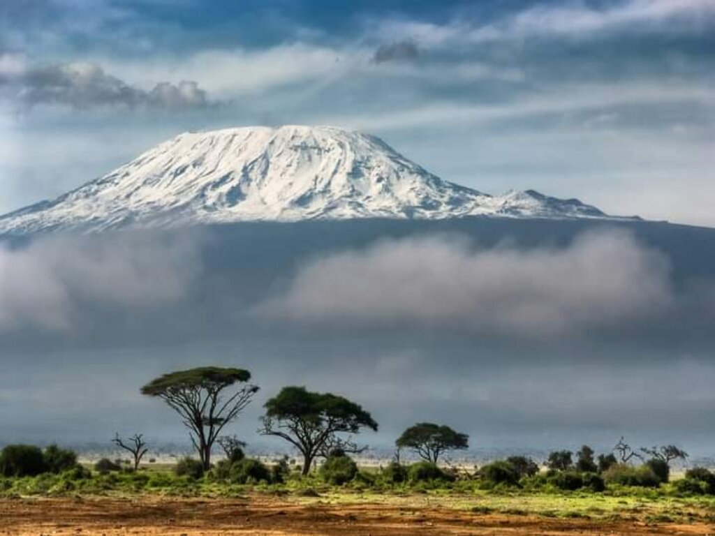 Snow capped summit dome of Kilimanjaro rising above acacia savannah and a bank of cloud