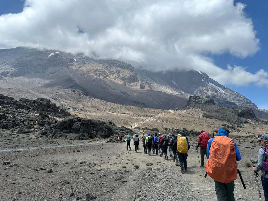 Trekkers walking a long open trail toward a cloud-capped Kibo on the Northern Circuit